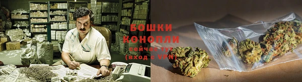 стафф Верхний Тагил