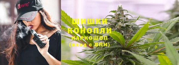 стафф Верхний Тагил